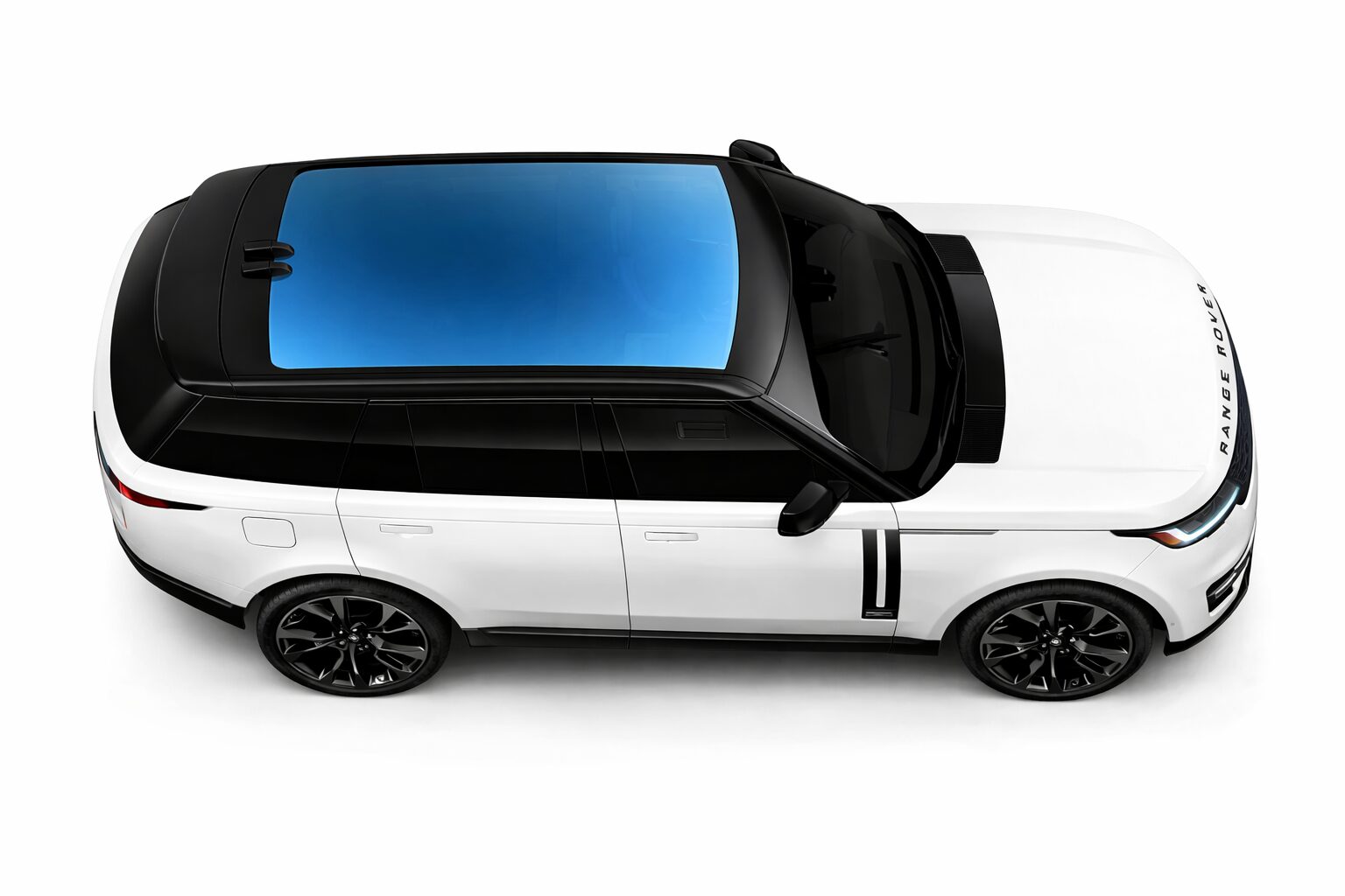 chatgpt image jan 30, 2026, 03 35 50 pm